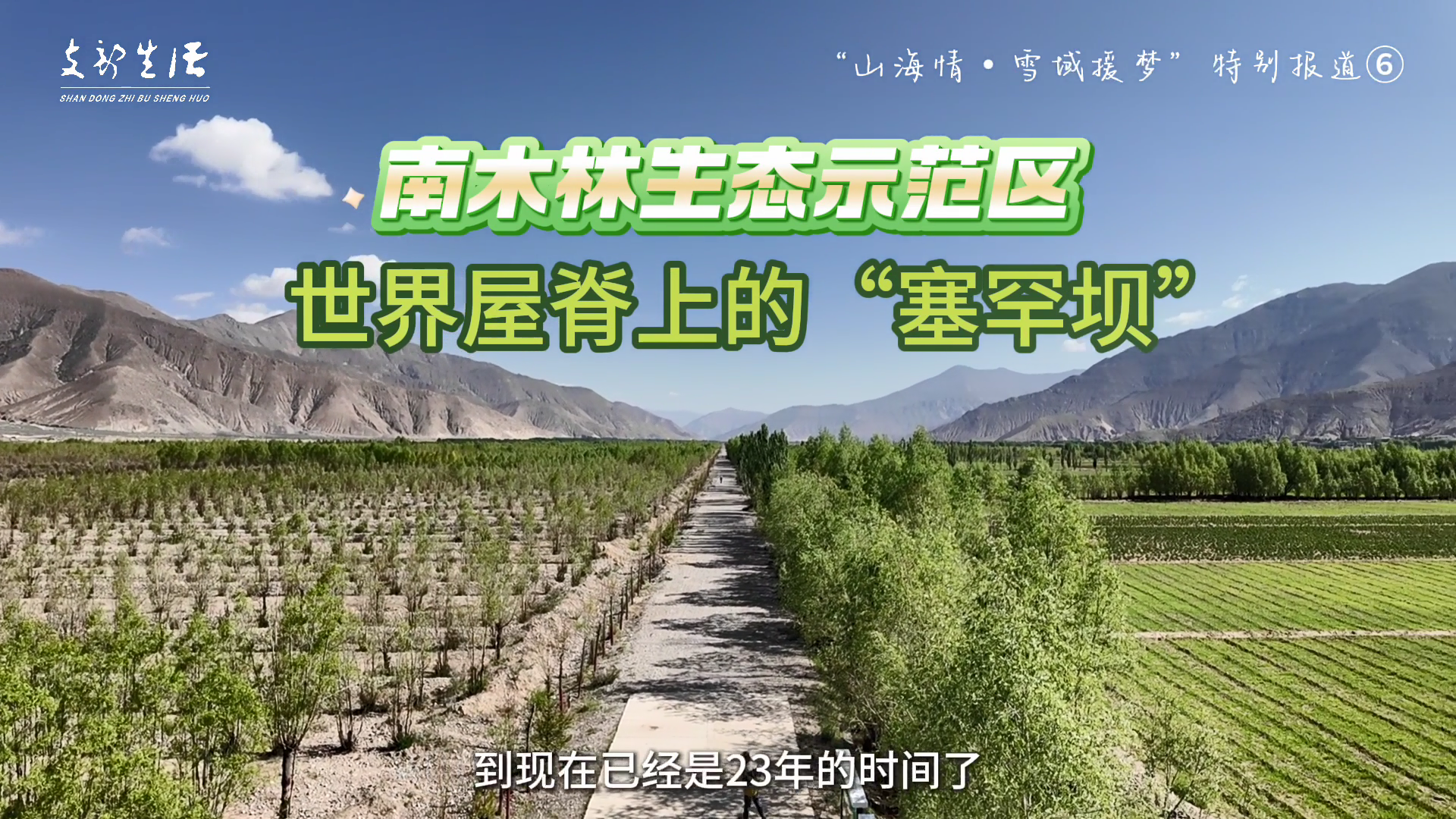世界屋脊上的“塞罕坝”