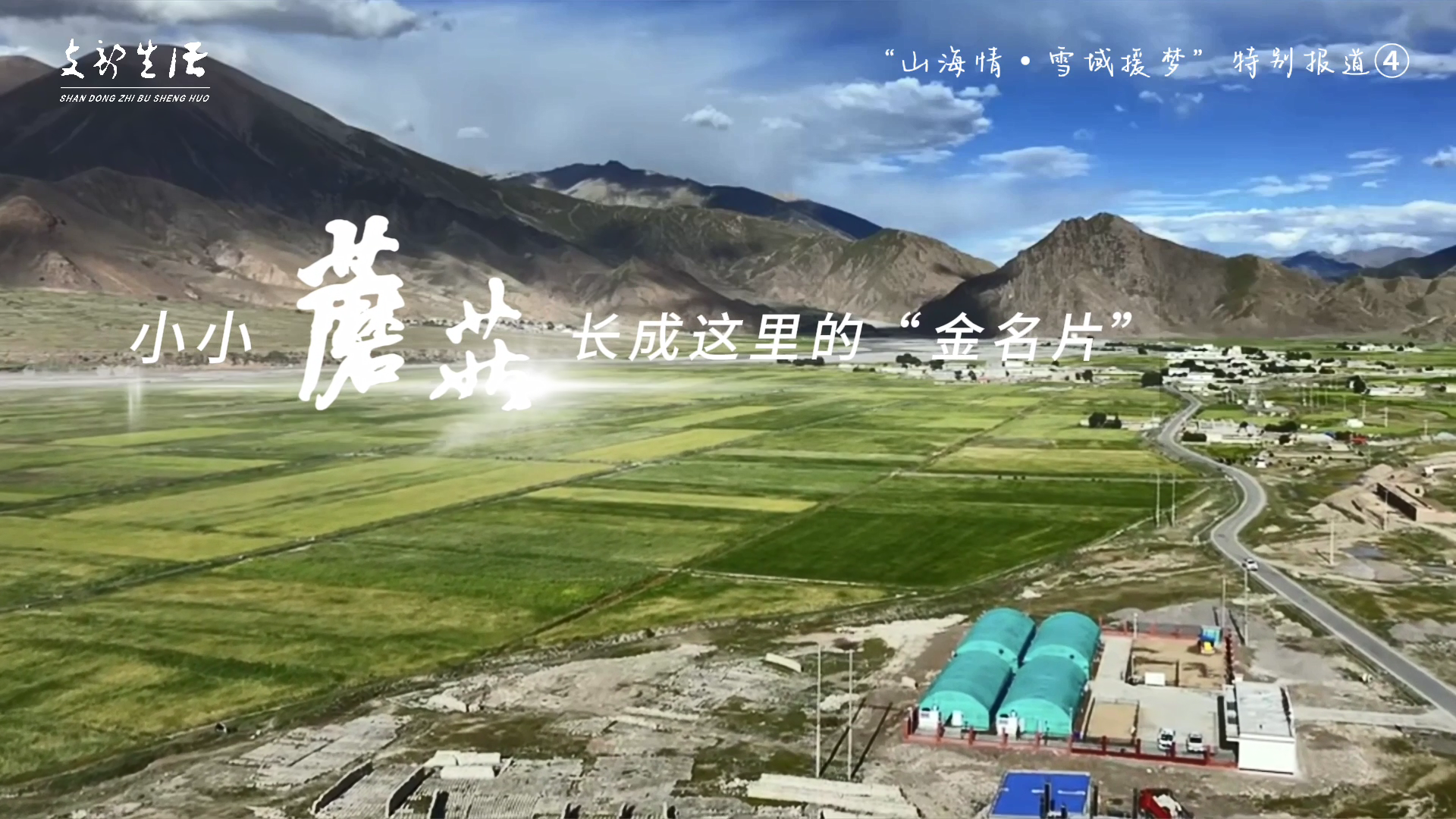 小小蘑菇长成这里的“金名片”