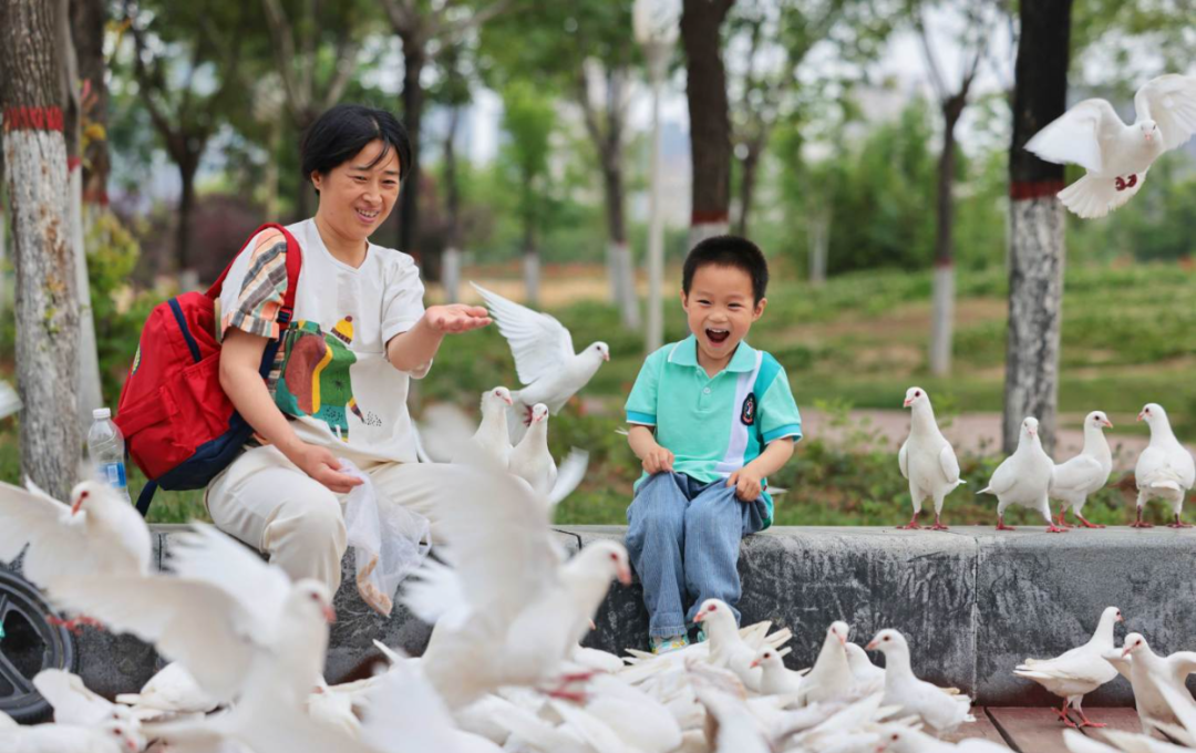 0图片1.jpg