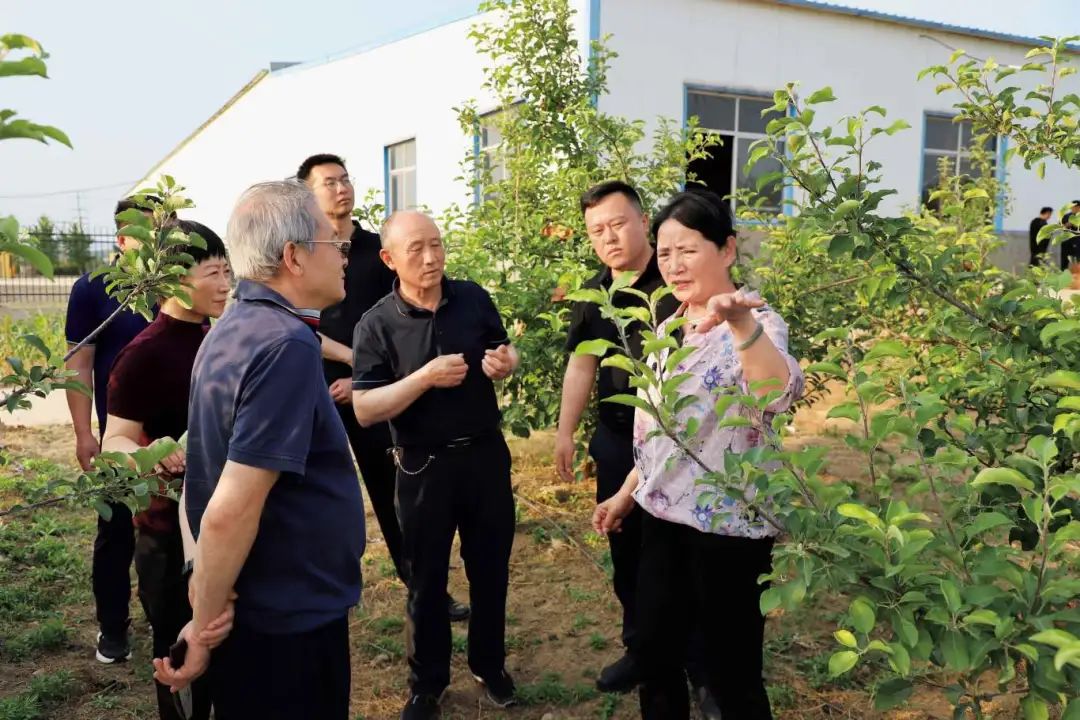 0急民所需，邀请专家到家庭农场示范园指导.jpg