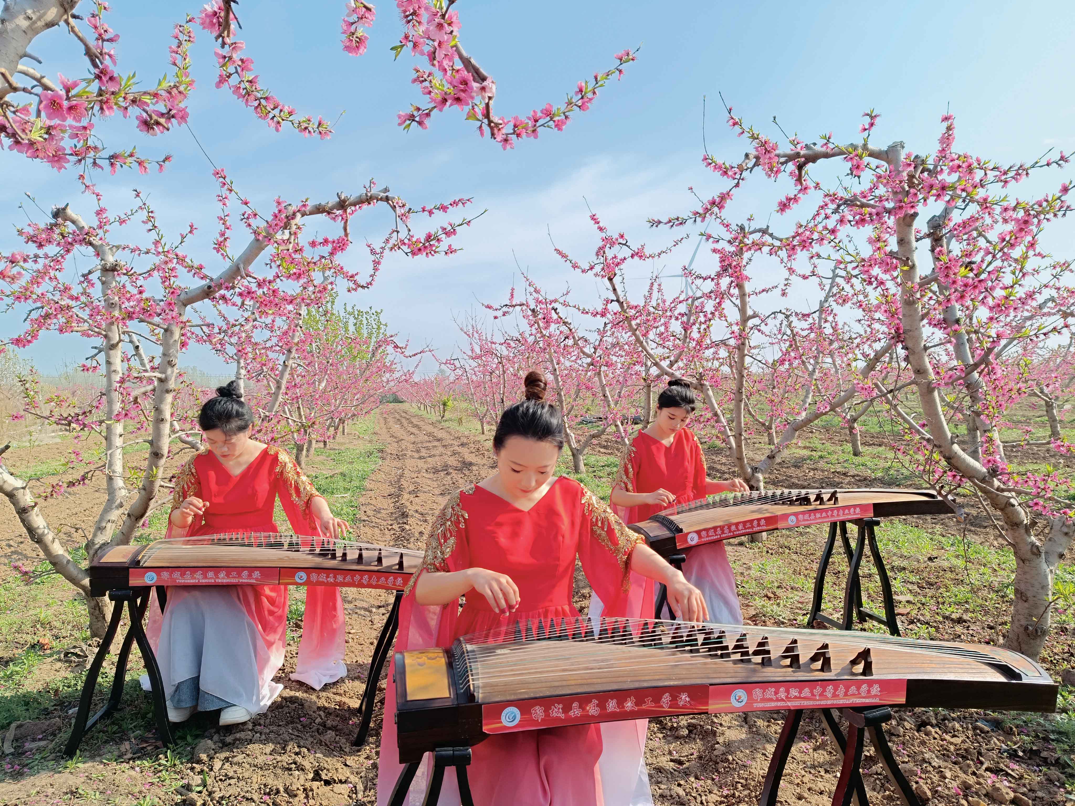 郓城县：以花为媒，巧做“花样文章”
