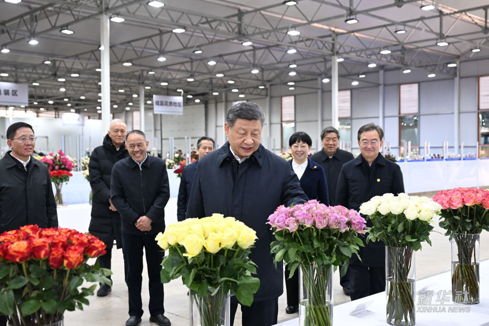 习近平在云南丽江市考察调研1.jpg