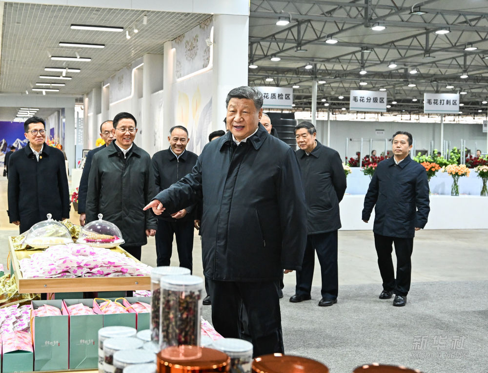 习近平在云南丽江市考察调研2.jpg